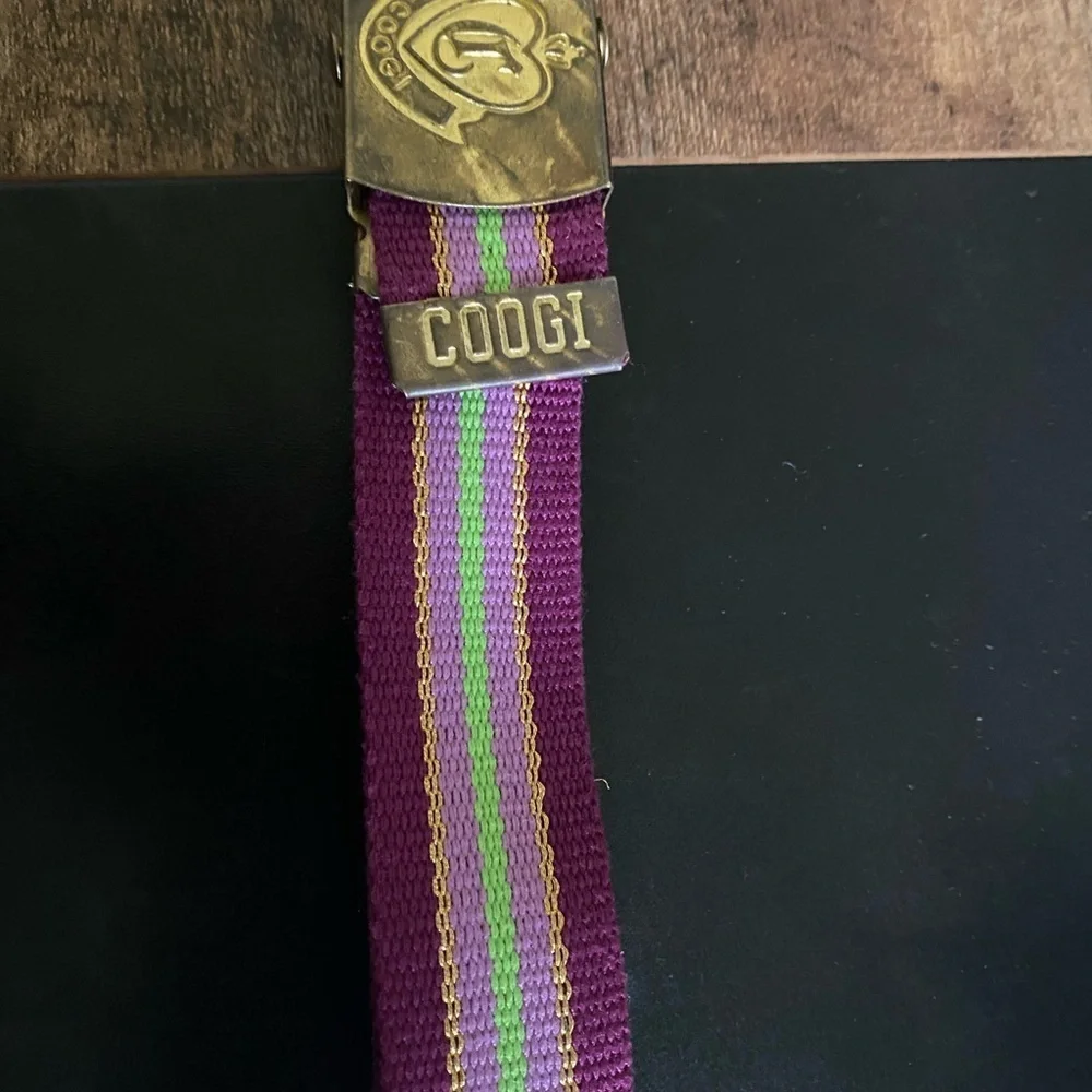 Vintage COOGI L Retro Purple Gold Metallic Cotton Adjustable Striped Belt 31”L